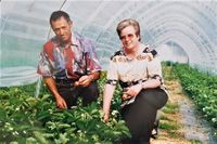 Josef und Heidi Jahr 1995 erste Erdbeerenernte